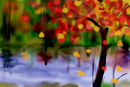 falls
