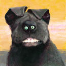 cute-doggie