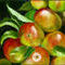 apples-on-a-branch by ploiesteana