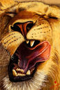 yawn yawn
