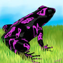 purple-painted-frog purple-painted-frog