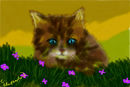 meow-2