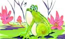 froggie