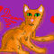 ginger-cat by Dreamkit13