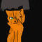pretty-ginger-shecat by Dreamkit13