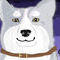 gin-from-ginga-nagareb by GingaStyleDogDrawings