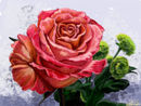 my-crazy-colored-rose my-crazy-colored-rose