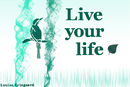 live-your-life