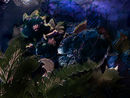 blue-night
