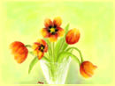my-first-tulips