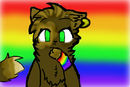new-furry