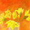 my-fresh-golden-daffod by ploiesteana