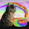 cat-fish-and-lots-of-r by snee