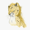 cheetah-cub