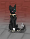 scourge scourge