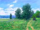 pp--landscape