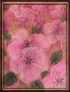 pinklettes