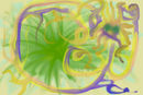 colors