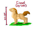 cissel