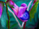 two-little-sweet-peas