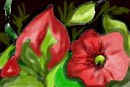 plant plant