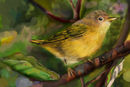 bird-on-the-tree