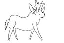 madeup-species madeup-species