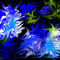 untitled-1 by Bluebell