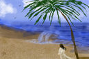 on-the-beach on-the-beach