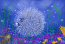 big-puffer-fish big-puffer-fish