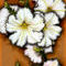 white-flowers by mudpuddle