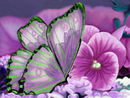 flutter-away flutter-away