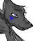 wolf-shading-and-sketc by ponyotta2