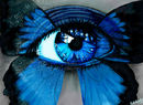 butterfleye
