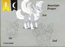 contest-entry-for-drag