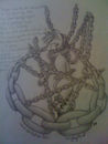 immortality immortality