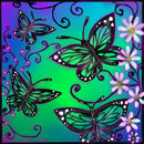 butterflies