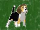 random-beagle-i-decide random-beagle-i-decide