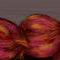 red-onions by sketchpad