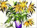 yellow-flowers