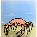 at-the-beach
