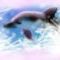 dolphin by opalescent