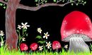 toadstools