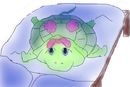 weird-turtle
