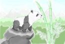 panda-cub