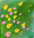 flowers-in-storm