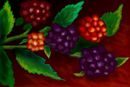 the-raspberry