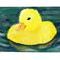 ducky by jokkio