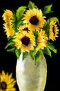 my-personal-sunflowers my-personal-sunflowers