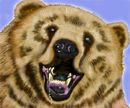 the-bear the-bear